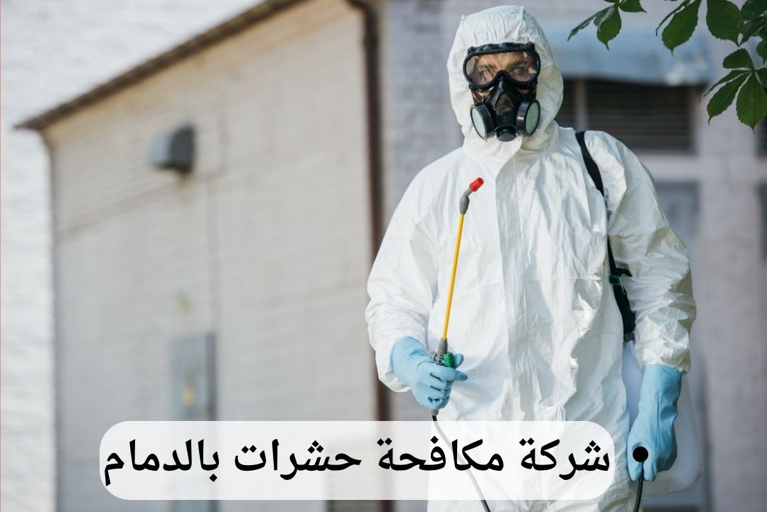 شركة-مكافحة-حشرات-بالدمام-2 شركة مكافحة حشرات بالدمام - وعد الخليج | خدمات احترافية | اتصل الآن: 0539202021